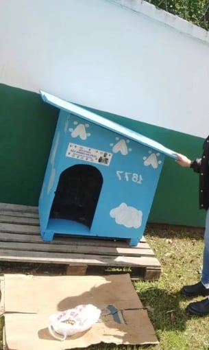 Protetor Felipe das Casinhas