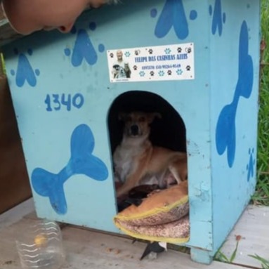 Protetor Felipe das Casinhas