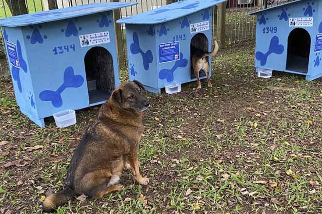 Protetor Felipe das Casinhas